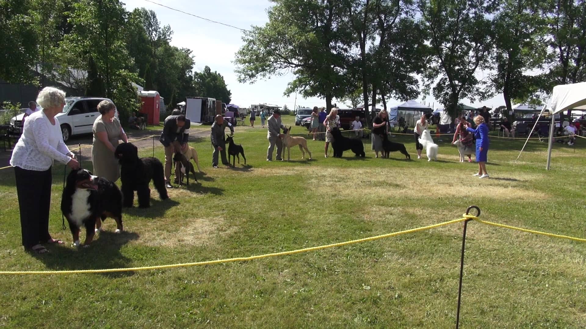 Odessa Dog Show June19th 2016, Best in Working Group Competition at