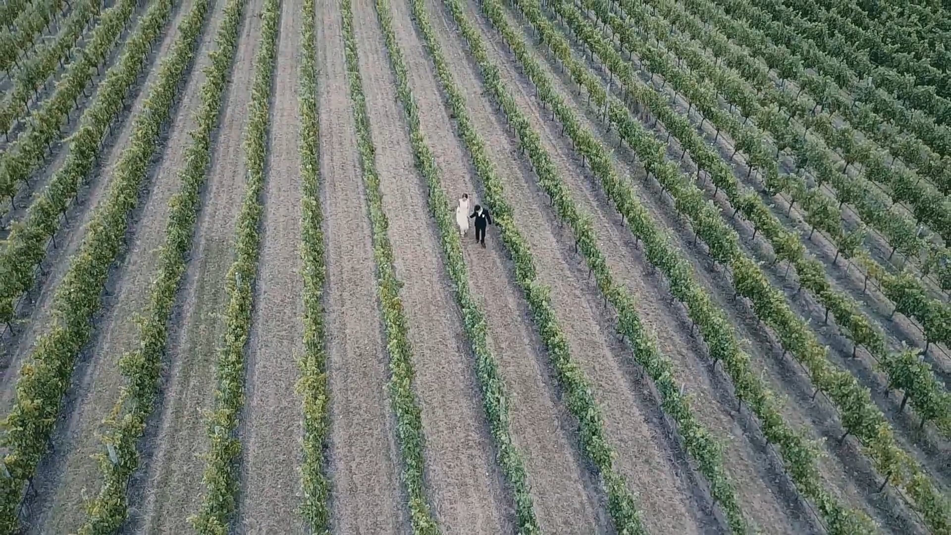 Shirley & James Oversea wedding