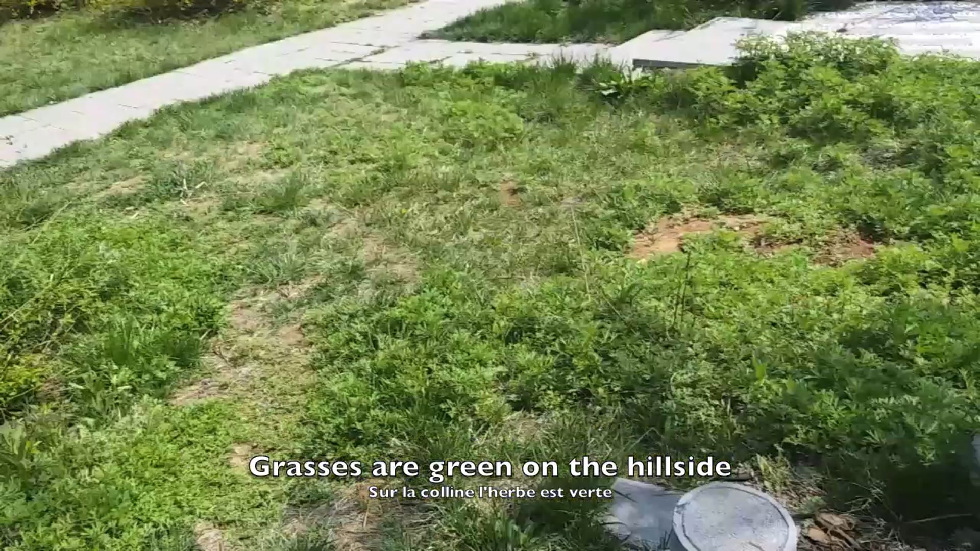Shaolin overview from inside
