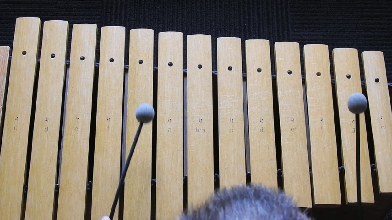 Ode to Joy Xylophone on Vimeo