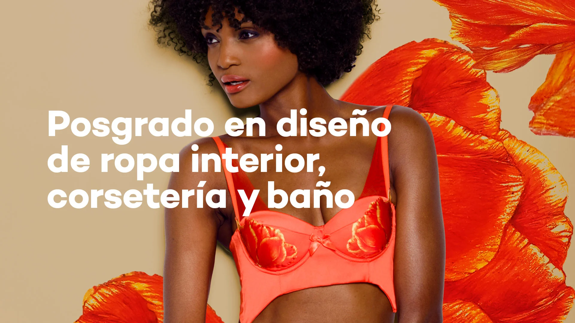 Diseño de discount lenceria y corseteria