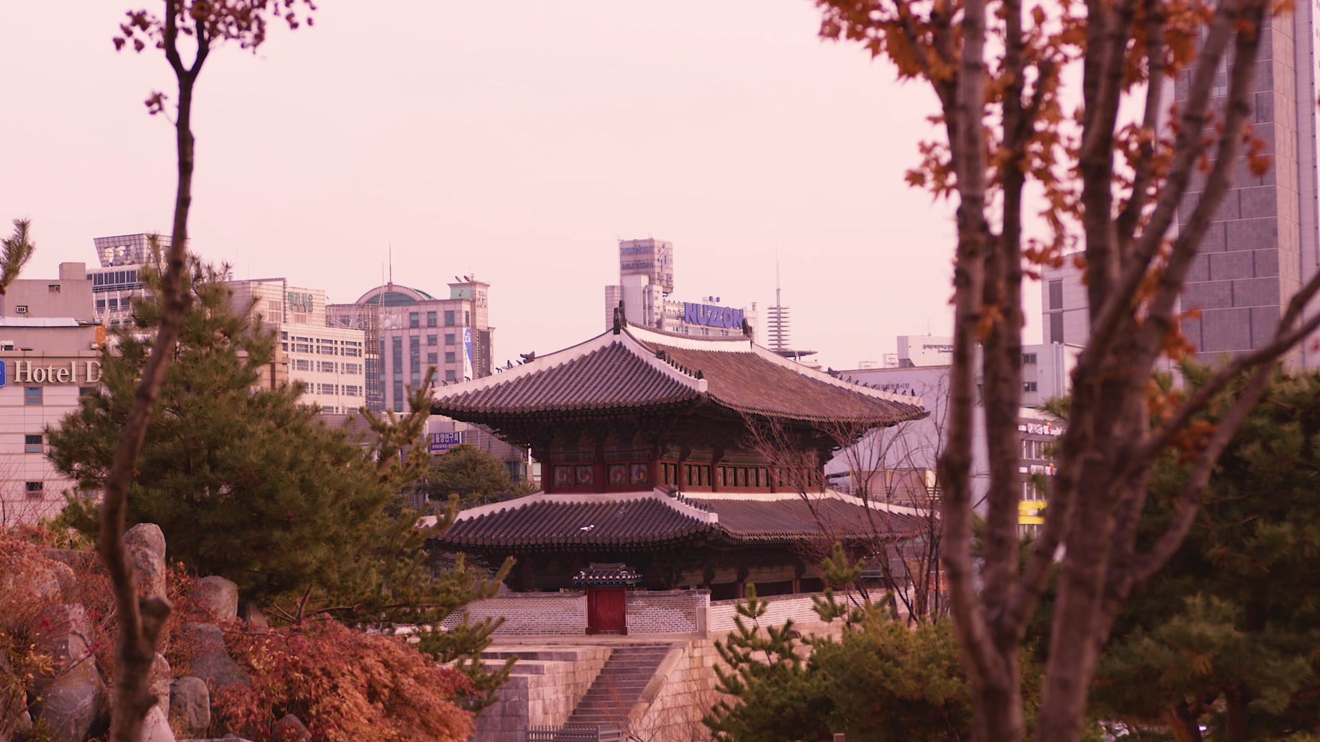 Robert Falcon - Octagon Seoul