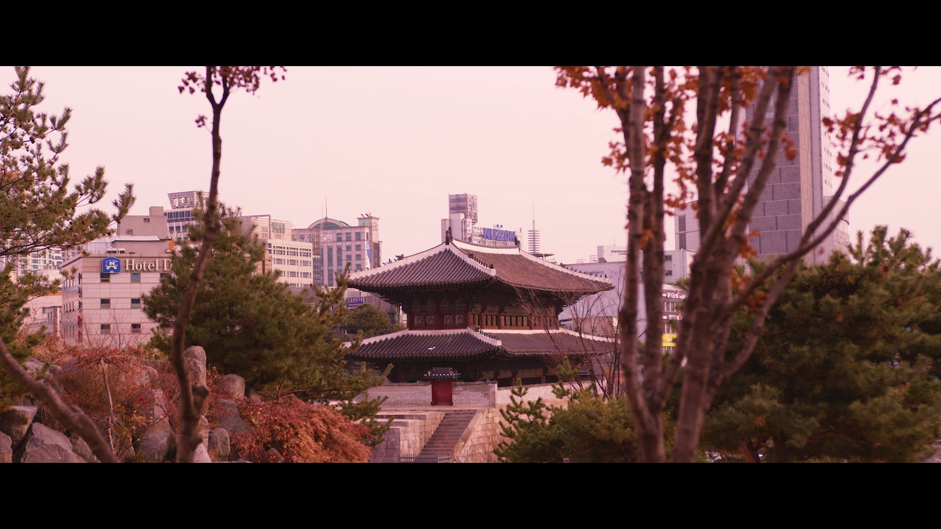 Robert Falcon - Octagon Seoul