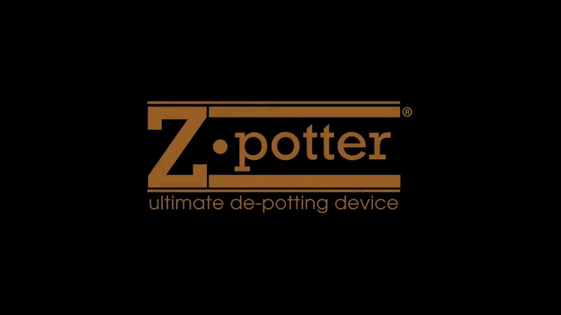 Best Way to Organize Your Makeup with Z Potter – Z Palette Best Way to Organize Your Makeup with Z Potter – Z Palette
