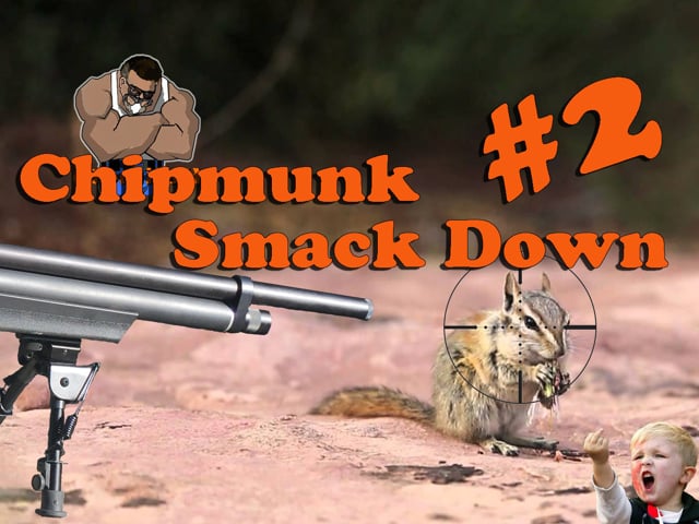 Chipmunk Smackdown 2