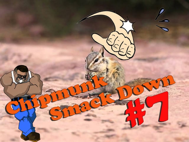 Chipmunk Smackdown #7 with Benjamin Marauder PCP