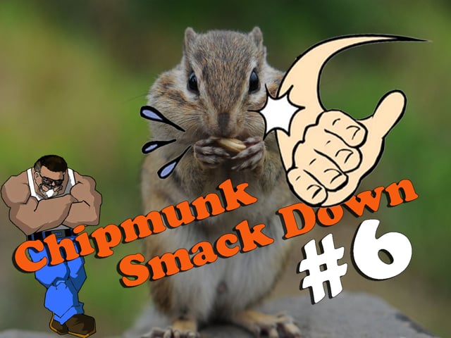 Chipmunk Smackdown #6 with Benjamin Marauder PCP