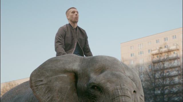 xtip elephant