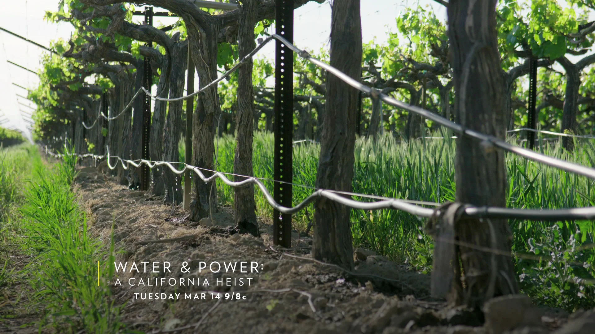 WATER & POWER A CALIFORNIA HEIST trailer on Vimeo