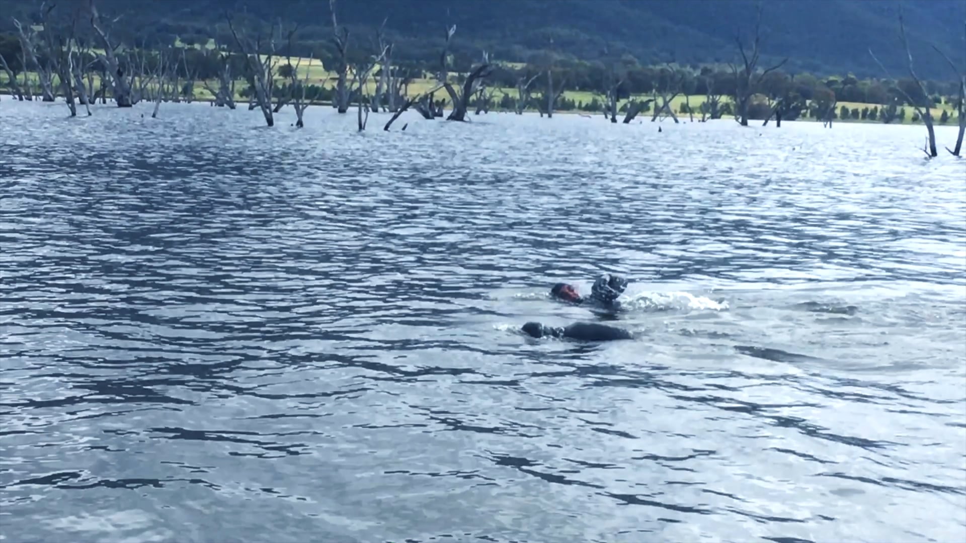 Take Your Dream trailer 2