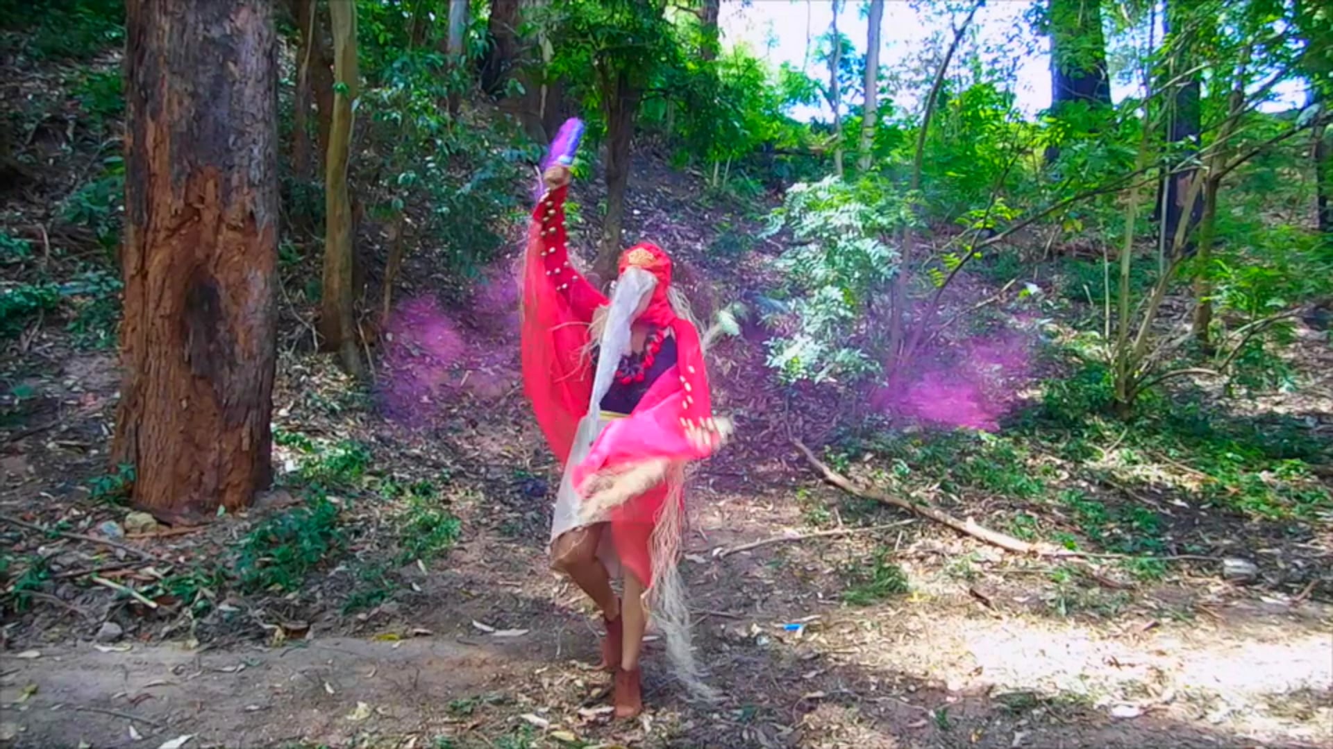 Performance Ave andina