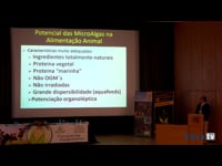 El potencial de las microalgas en la alimentación animal