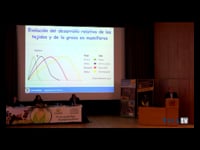 Alimentación y manejo alimenticio en terneros cruzados