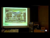 Manipulación de los ácidos grasos en bovinos de carne