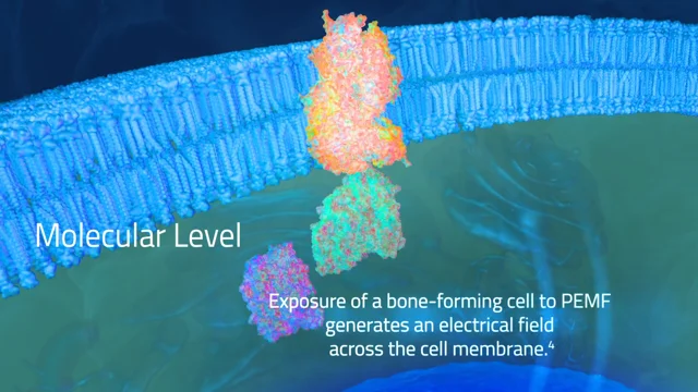 Bone Growth Stimulation: What The Evidence Reveals