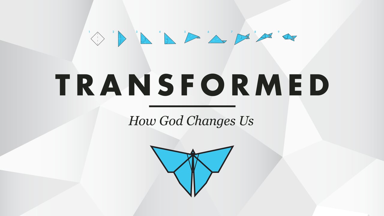 Transformed: Week 1