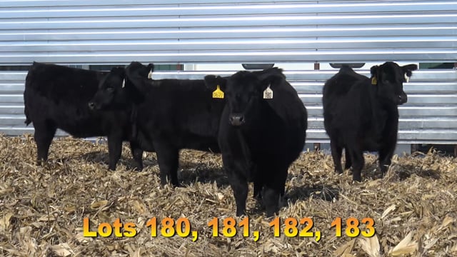 Lot #180 - BA CAPITALIST 7671