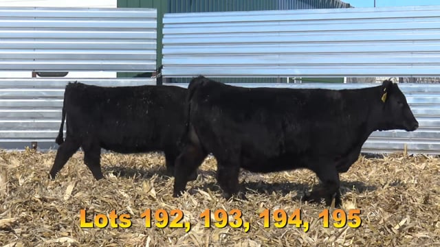 Lot #192 - BA FORTRESS 7900