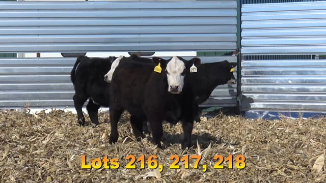 Lot #216 - BAX JAKADIAMONDS 757
