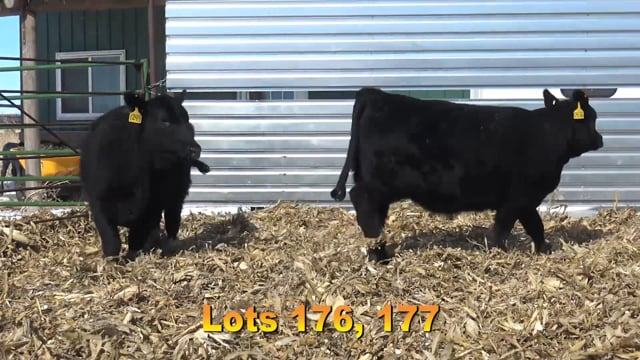 Lot #176 - BA TRACTION 7249