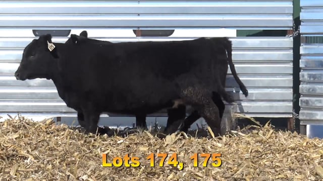 Lot #174 - BA CAPITALIST 727