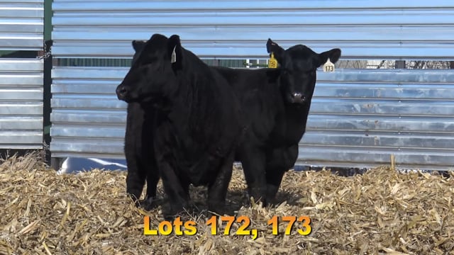 Lot #172 - BA UPWARD 2972 753