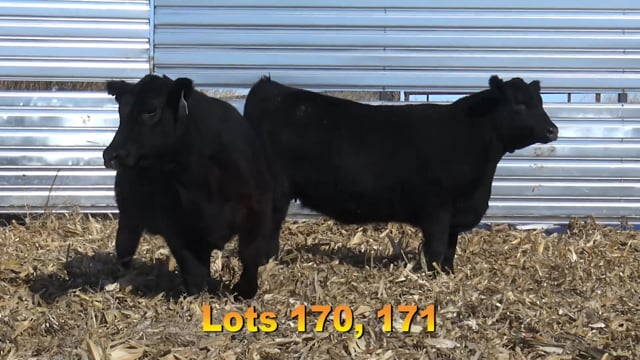 Lot #170 - BA TRACTION 7718