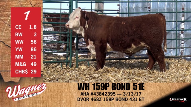 Lot #1 - WH 159P BOND 51E
