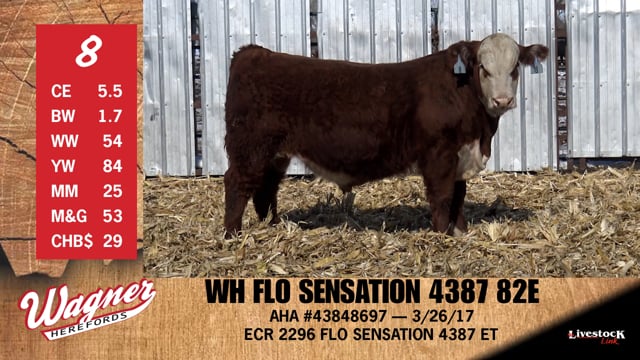 Lot #8 - WH FLO SENSATION 4387 82E