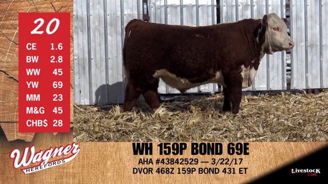Lot #20 - WH 159P BOND 69E