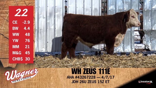 Lot #22 - WH ZEUS 111E