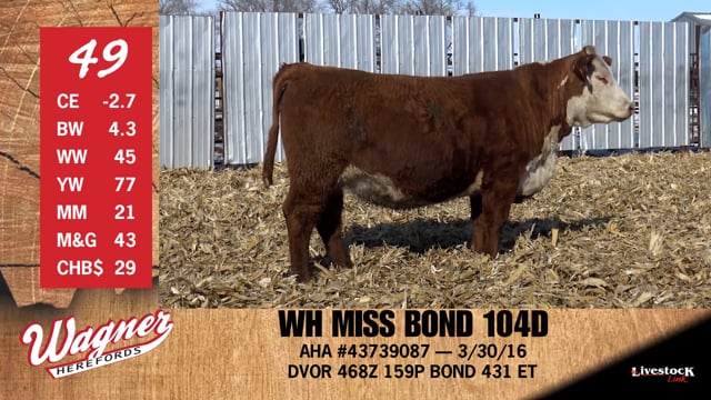 Lot #49 - WH MISS BOND 104D