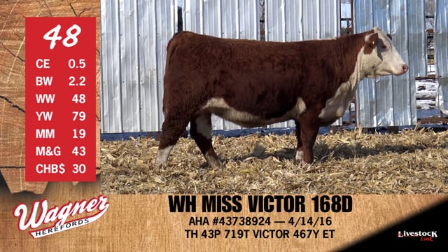 Lot #48 - WH MISS VICTOR 168D