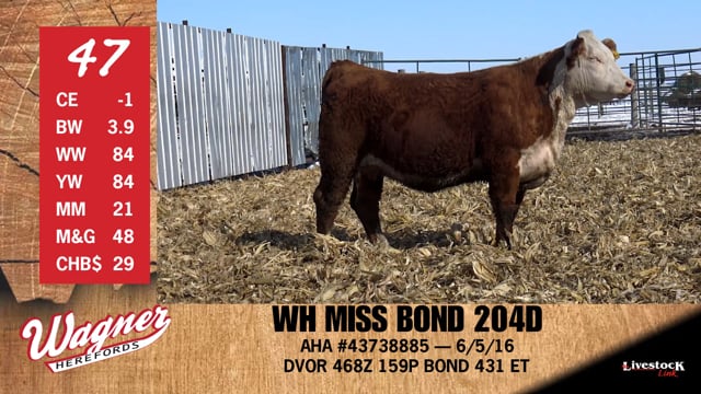 Lot #47 - WH MISS BOND 204D