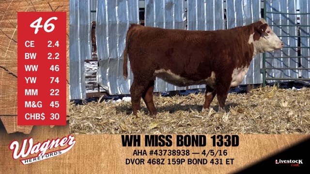 Lot #46 - WH MISS BOND 133D