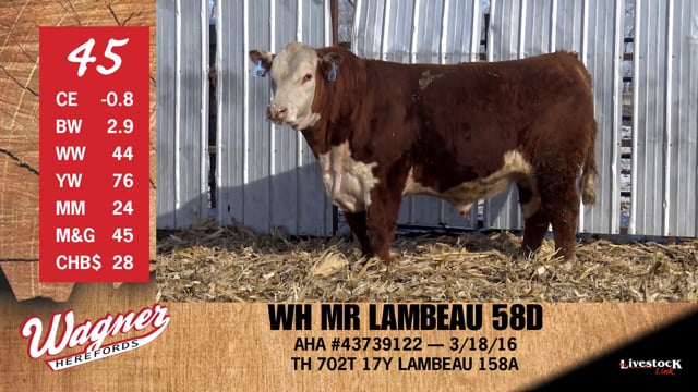 Lot #45 - WH MR LAMEAU 58D