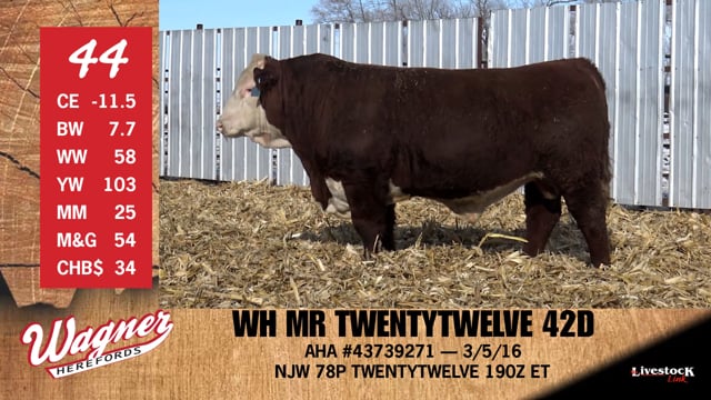 Lot #44 - WH MR TWENTYTWELVE 42D