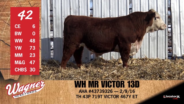Lot #42 - WH MR VICTOR 13D