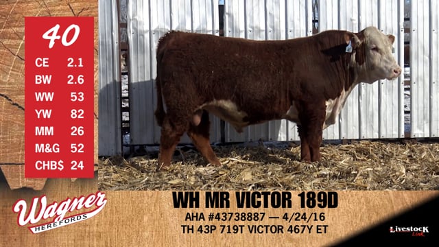 Lot #40 - WH MR VICTOR 189D