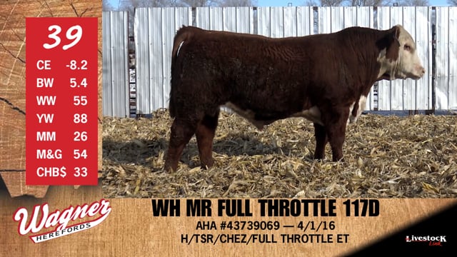 Lot #39 - WH MR FULL THROTTLE 117D
