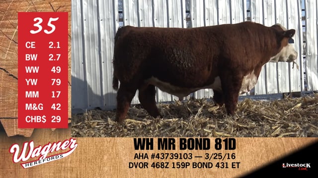 Lot #35 - WH MR BOND 81D