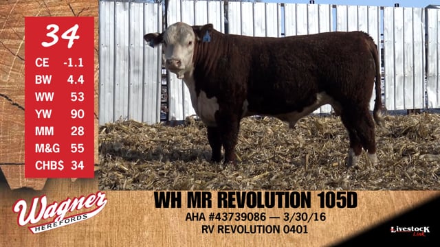 Lot #34 - WH MR REVOLUTION 105D