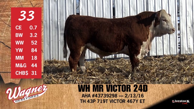 Lot #33 - WH MR VICTOR 24D
