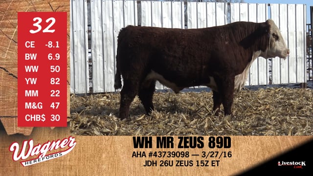 Lot #32 - WH MR ZEUS 89D