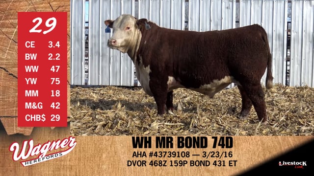 Lot #29 - **OUT** WH MR BOND 74D