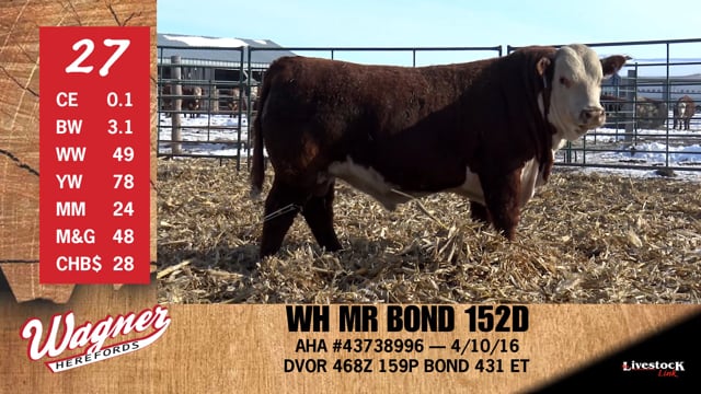 Lot #27 - WH MR BOND 152D