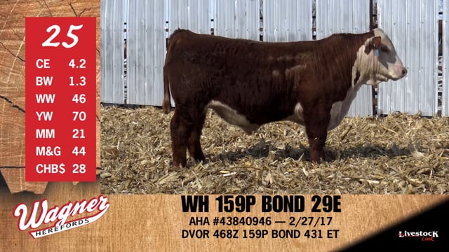 Lot #25 - WH 159P BOND 29E