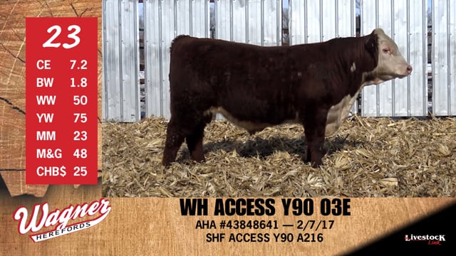 Lot #23 - WH ACCESS Y90 03E