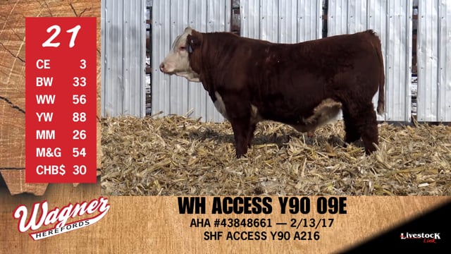 Lot #21 - WH ACCESS Y90 09E