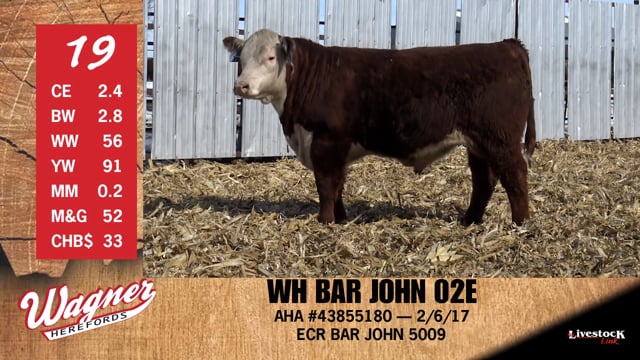 Lot #19 - WH BAR JOHN 02E